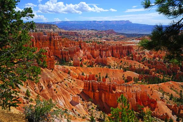 Bryce Canyon from the Rim Trail, Utah