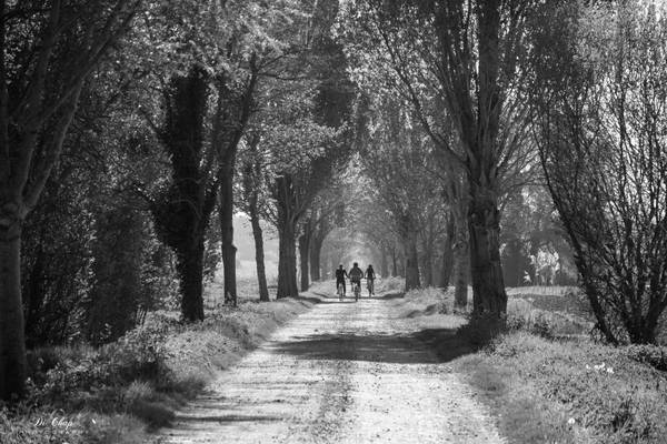 Un dimanche à la campagne