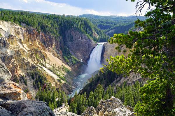 Lower Falls from Lookout Point, Yellowstone NP, USA