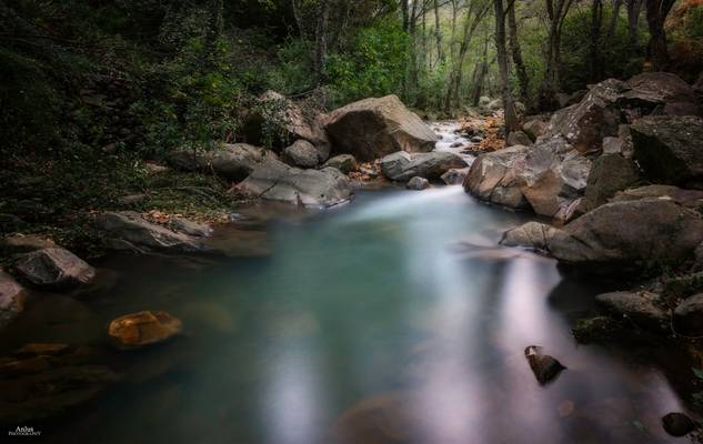 rio de la miel.