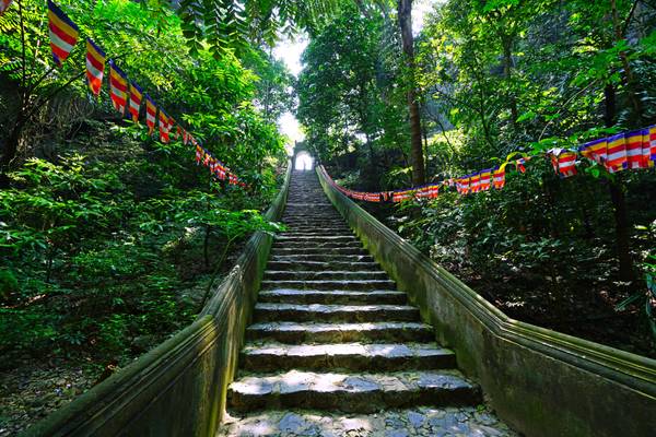 Stairs in the forest, Perfume Pagoda, Vietnam