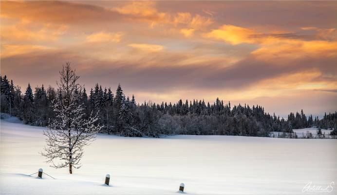 Winter Sunset, Norway
