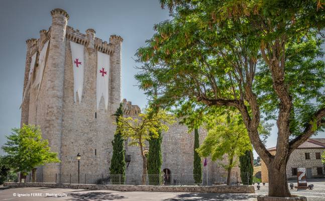 Torija castle