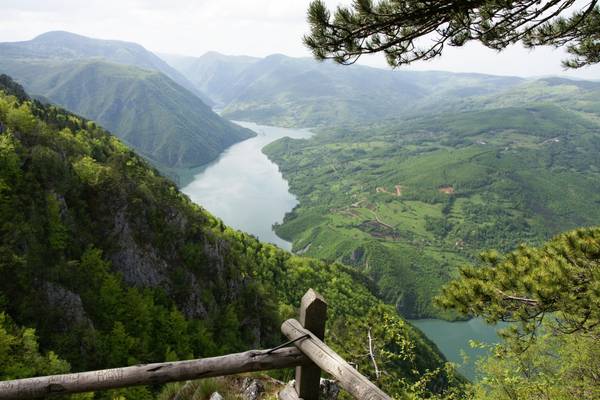 Drina river bend from Banjska stena, Tara National Park