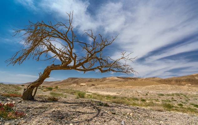 Israel, Randgebiete der Negev