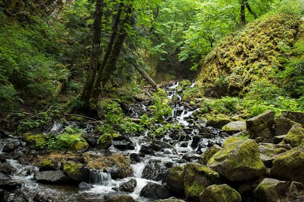 Starvation Creek Trail