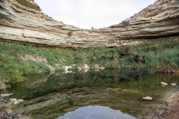 Turtle Pond of Saura gorge