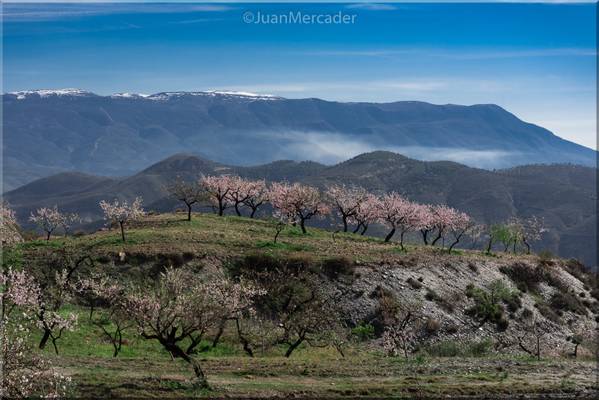 Las Alpujarras