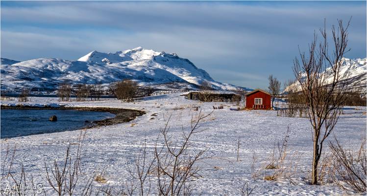 Norwegian Winter