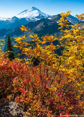 Artist Point Trail in the Fall