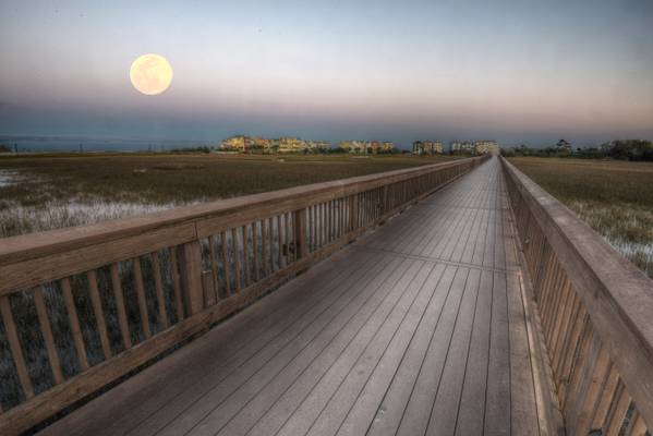 Boardwalk Moon