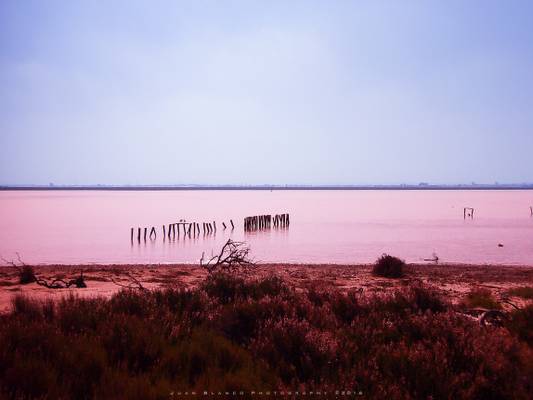 Parque Nacional de Doñana | Cádiz | 2016