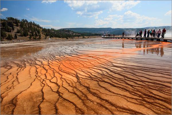 "Extremophiles" at Grand Prismatic Spring