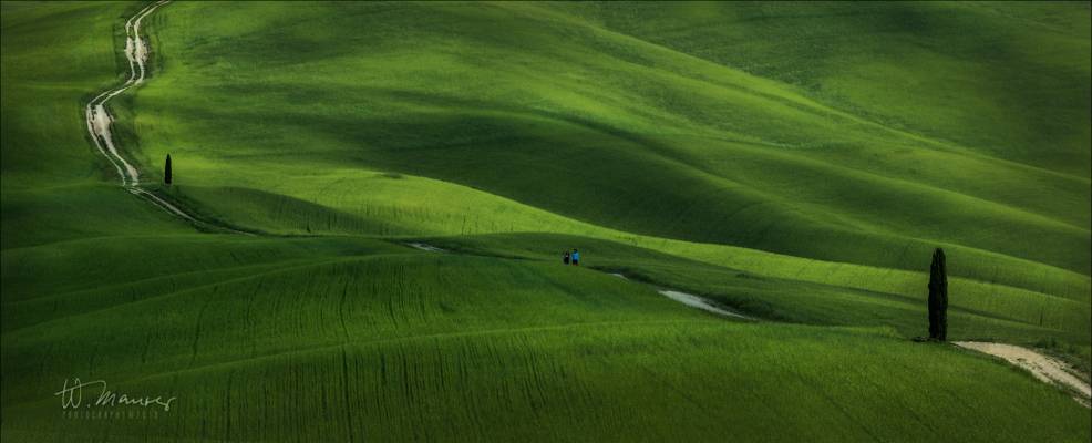 Strolling the green hills of tuscany
