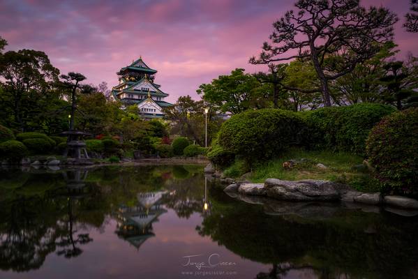 Osaka castle pink sunset