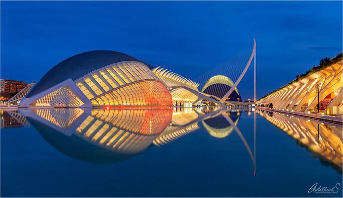 Another Calatrava Fish, Valencia