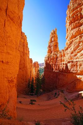 Down the staircase of Navajo Trail Loop, Bryce Canyon, USA
