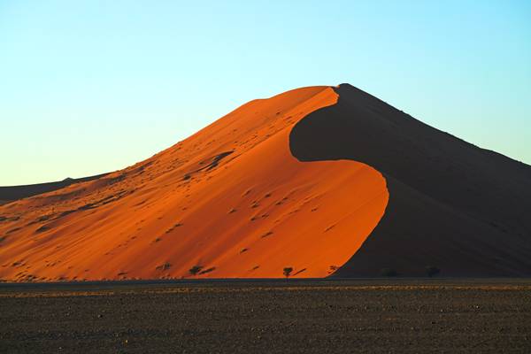 Dunes in the Namib-Naukluft Park