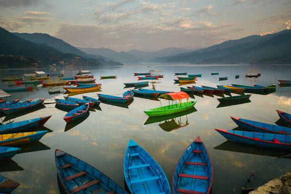 Early morning boats - Pokhara, Nepal