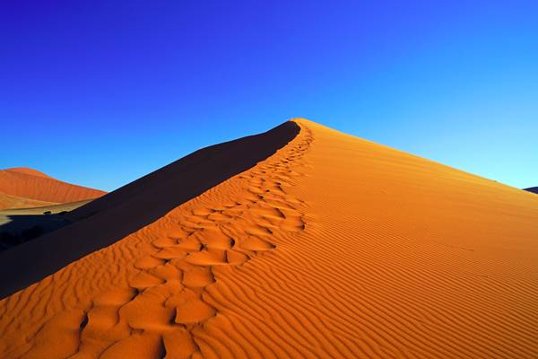 Steps on the crest of the Dune 45, Sossusvlei, Namibia