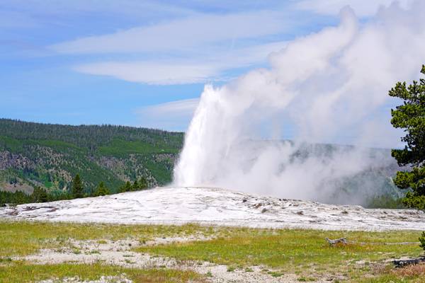 The Old Faithful geyser, Yellowstone NP, USA