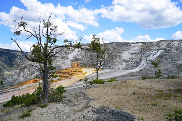 Along the Mammoth Hot Springs trail, Yellowstone NP, USA