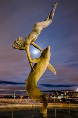 Girl with a Dolphin (London)