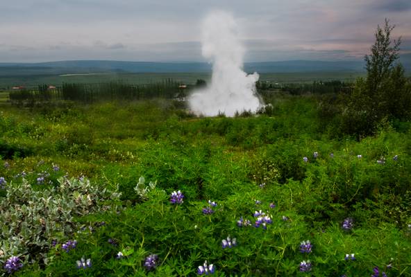 "Geysir Strokkur" Haukadalur Iceland