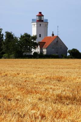 Gedser lighthouse & wheat fields