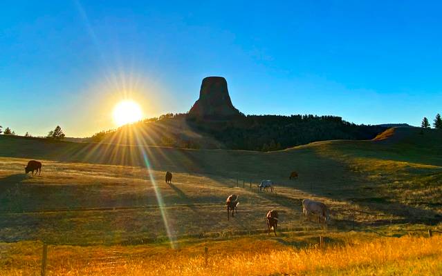 Sunset Devil's Tower NP Wyoming