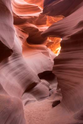 It appears to be a law that you cannot have a deep sympathy with both man and nature…