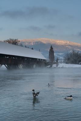 Wangen an der Aare