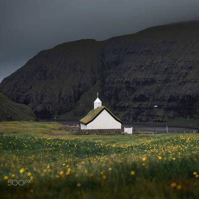 Church in flower meadow in Saksun Bay, Faroe Islands