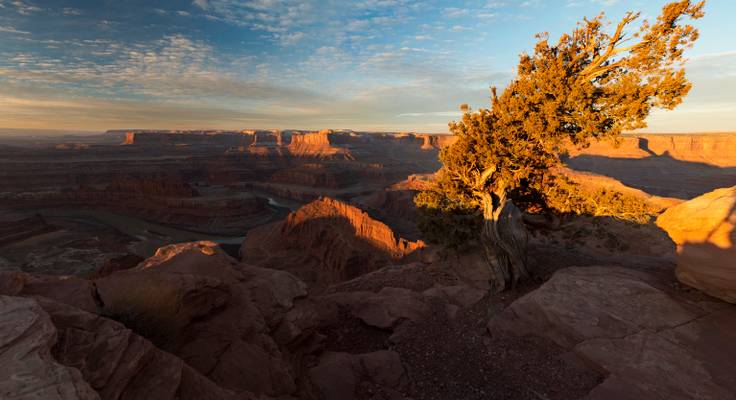 Study nature, love nature, stay close to nature. It will never fail you…