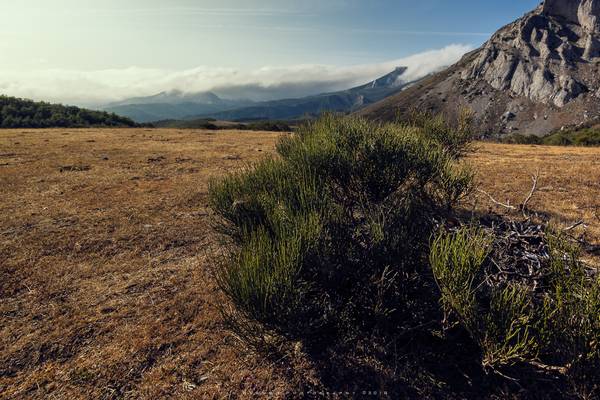 Fuente el Cobre | Montaña Palentina | 2018