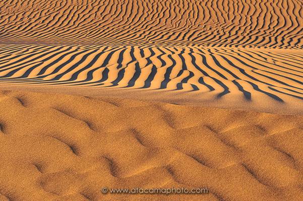 Sand ripples in the dunes of Pica, Atacama desert Chile