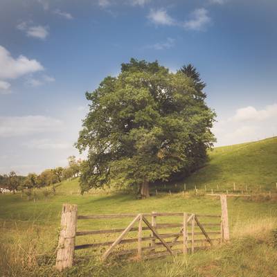 beautiful countryside