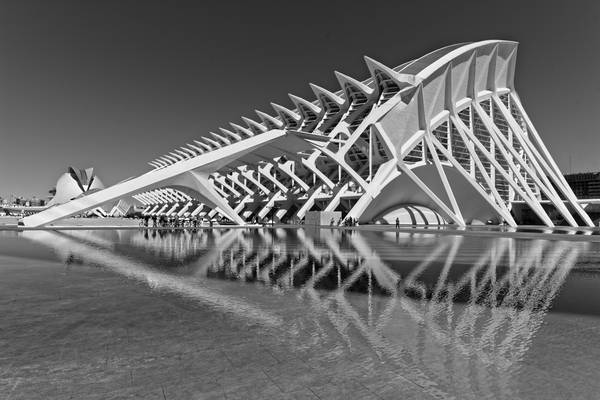 Ciudad de las Artes y las Ciencias (City of Arts and Sciences), Valencia