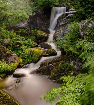 Triberg Waterfalls