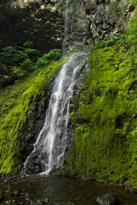 Cabin Creek Falls, Oregon