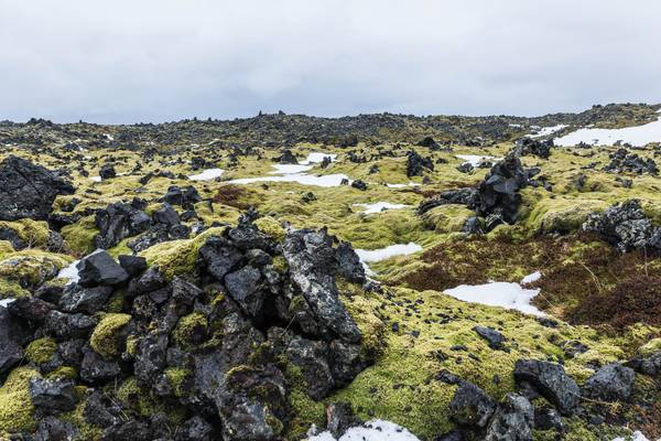 Iceland 2016 Djúpalónssandur Lava field