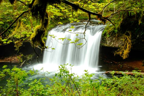 Butte Creek Waterfall, Oregon