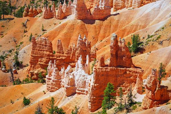 Picturesque hoodoos on the slopes of Bryce Canyon, Utah