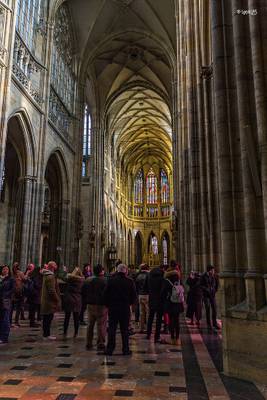 Katedrála sv. Víta, Václava a Vojtěcha