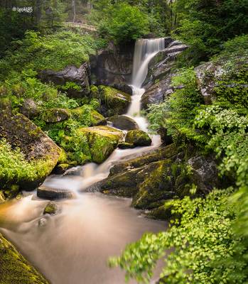 Triberg Waterfalls