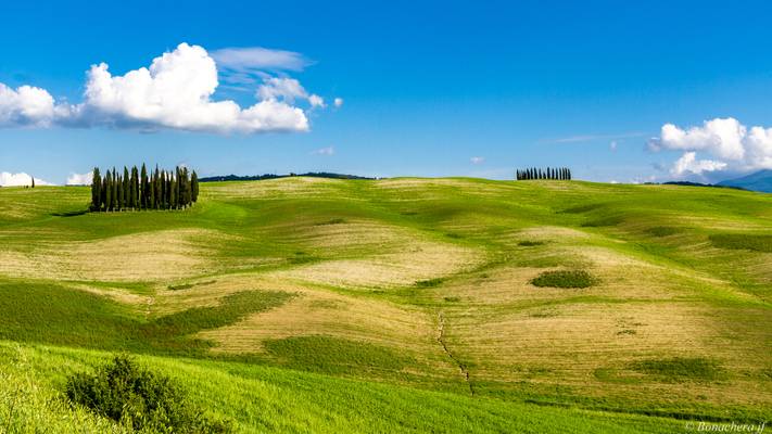 val d'Orcia-043