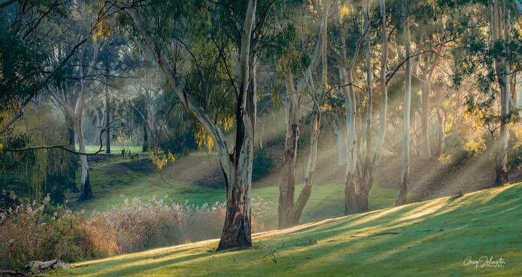 Rays along the river