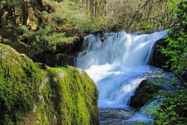 Alsea Waterfalls, Oregon