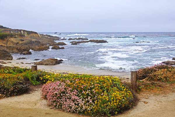 Cypress Point Lookout, California