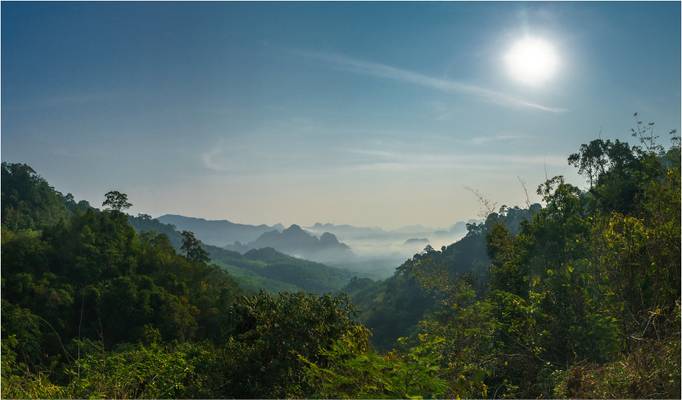 Morgennebel Khao Sok